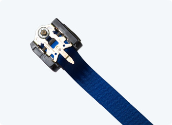 Blue Color Seatbelts