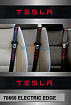 Tesla - Electric Edge - Custom Color Seat Belt Webbing Replacement - Color Code 70660 image