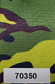 A55 Camo - Color Code 70350